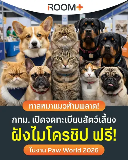 ชาวกรุงพาน้องหมาน้องแมวฝังไมโครชิปและจดทะเบียนสัตว์เลี้ยงฟรีที่ Paw World 2026